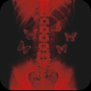 Meet your Posher, Gigi